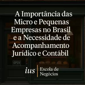 A Importância das Micro e Pequenas Empresas no Brasil e a Necessidade de Acompanhamento Jurídico e Contábil