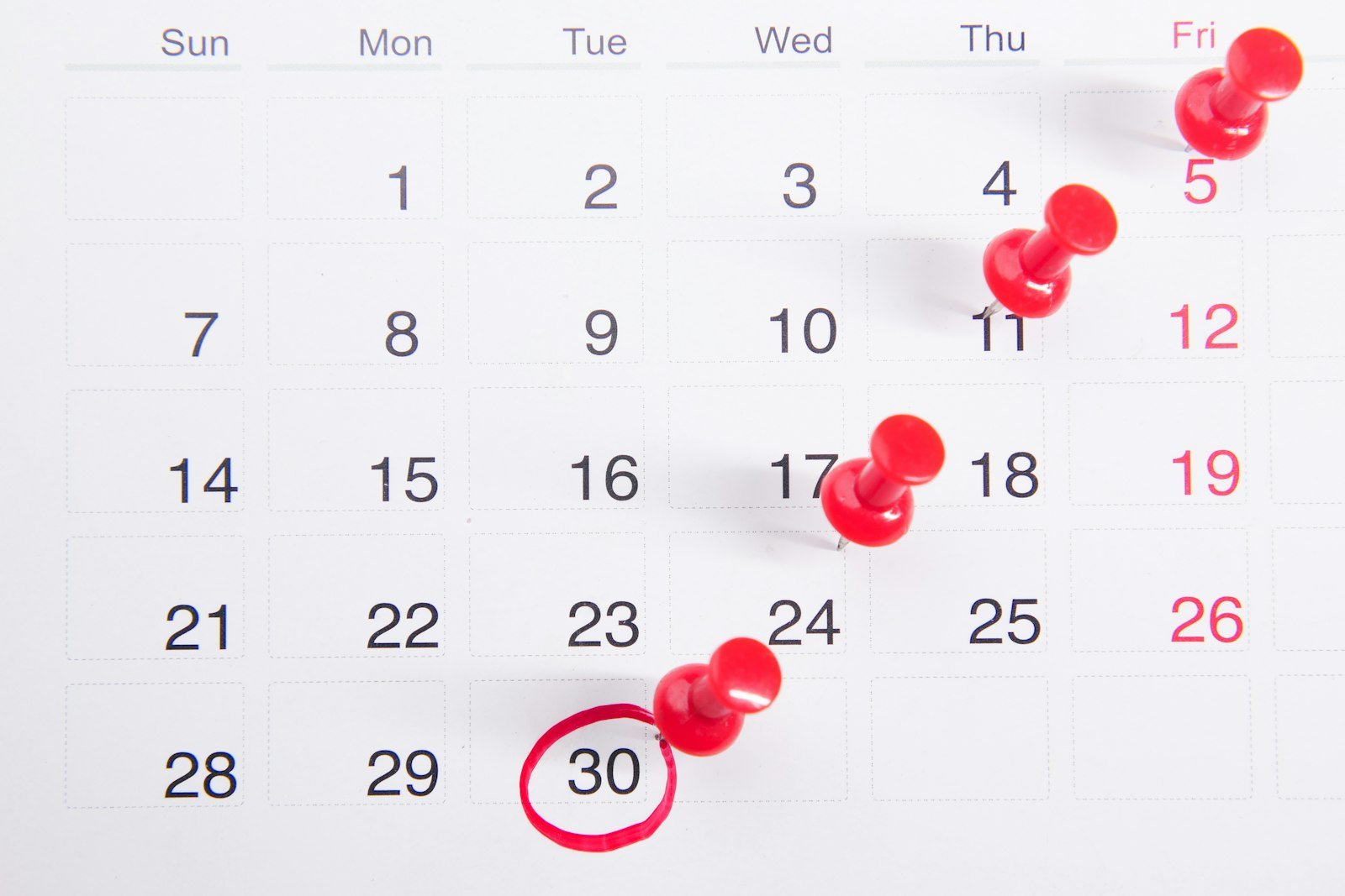 Calendário com prazos contratuais marcados